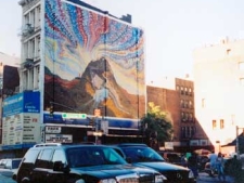 https://lisasanditz.com/files/gimgs/th-41_Creativetime-Mural-photo_v2.jpg