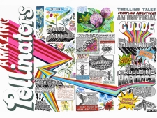 https://lisasanditz.com/files/gimgs/th-41_Unofficial-Guide-to-Pollinators_exterior_copy-copy.jpg