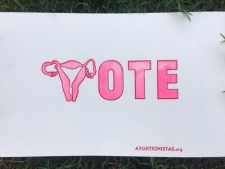 https://lisasanditz.com/files/gimgs/th-41_VOTE_abortionistas_print.jpg