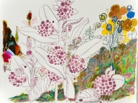 https://lisasanditz.com/files/gimgs/th-47_LS25_05_Milkweed-and-PlantFriends.jpg