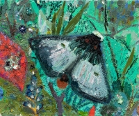 https://lisasanditz.com/files/gimgs/th-49_LS25_01MissingMoth.jpg